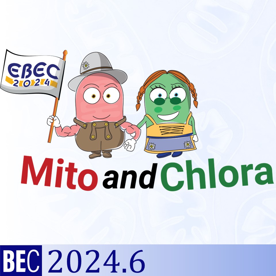 cartoon of mito and chlora, the EBEC2024 mascots