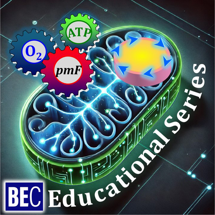 BEC Educational Series